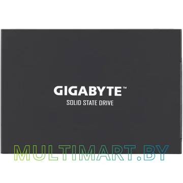 SSD диск Gigabyte 240GB (GP-GSTFS31240GNTD)